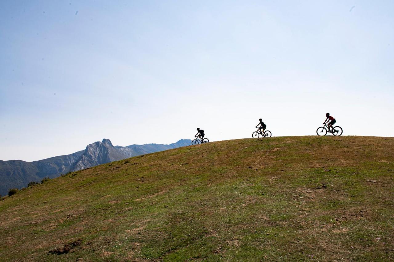 Apartamentos Los Picos De Europa Colio Экстерьер фото